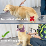Happy Hoodie for Dogs and Cats - The Original Grooming and Force Drying Miracle Tool for Anxiety Relief and Calming Dogs