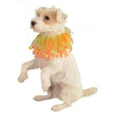 Halloween Orange Spider Pet Collar