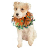 Halloween Spider Dog Collar