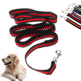 120 CM (6 Feet) Dog Walking Elastic Bungee Leash