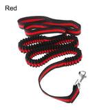 120 CM (6 Feet) Dog Walking Elastic Bungee Leash