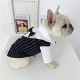 Stylish Suit Small Dog Clothes