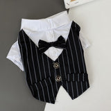 Stylish Suit Small Dog Clothes
