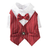 Stylish Suit Small Dog Clothes