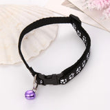 Adjustable Buckle Collar