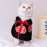 Halloween Cat Costume