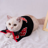 Halloween Cat Costume