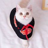 Halloween Cat Costume