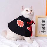 Halloween Cat Costume