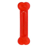 Dog  Chewing Toothbrush