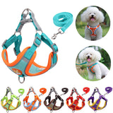 Pet Dog Harness and Leash set
