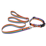 Dog Colorful  Leash