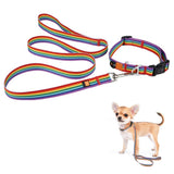 Dog Colorful  Leash