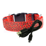 Luminous Adjustable Glowing Collar