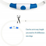 LED USB Charging Collar