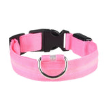 Dog Luminous LED Collar