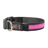 Reflective Safety Led Dog Light Up collar