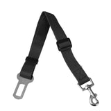 Pet Dog  Leash