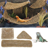 Lizard Reptile Hammock