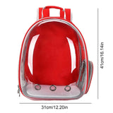 Ventilate Transparent Space Backpacks