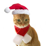 Cat Red Scarf Fleece Clothes