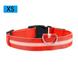 Pet LED Light Up Dog Leash