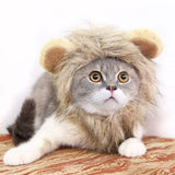 Pet Hat  Cap with Ears